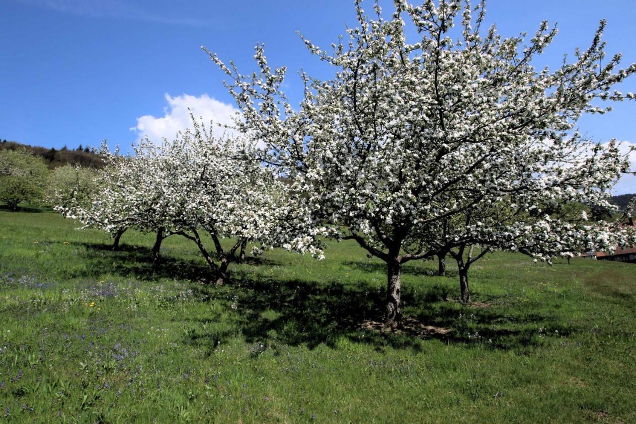 Wilderer Stube Sasbachwalden